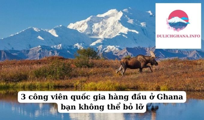 3 công viên quốc gia hàng đầu ở Ghana bạn không thể bỏ lỡ