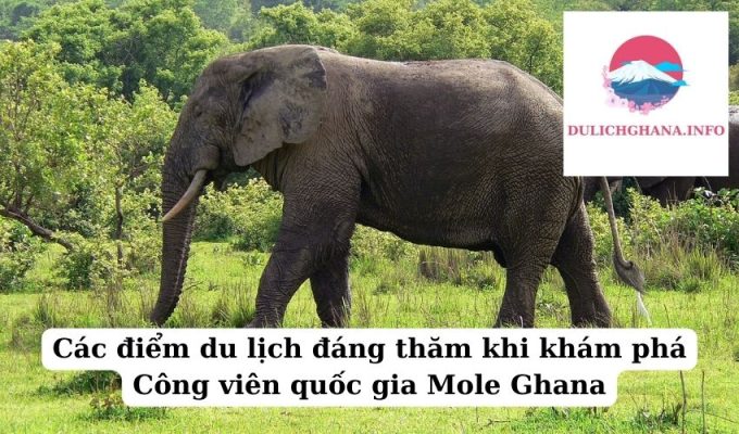 Các điểm du lịch đáng thăm khi khám phá Công viên quốc gia Mole Ghana