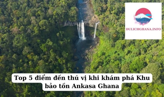 Top 5 điểm đến thú vị khi khám phá Khu bảo tồn Ankasa Ghana